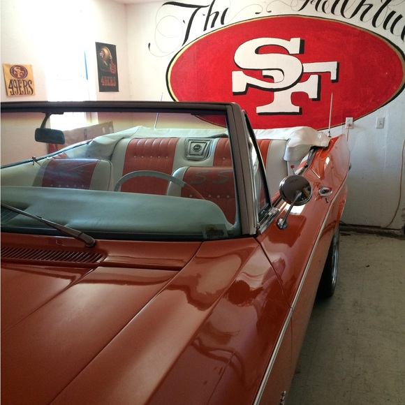 Meet your Posher, Leonardo - Picture 3 of 5